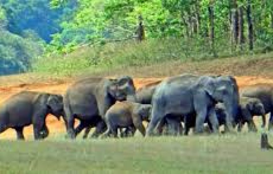 Do Dham Helicopter Yatra (Gangotri–Yamunotri) – 2 Nights / 3 Days