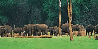 Day 03: Munnar – Thekkady (Periyar)
