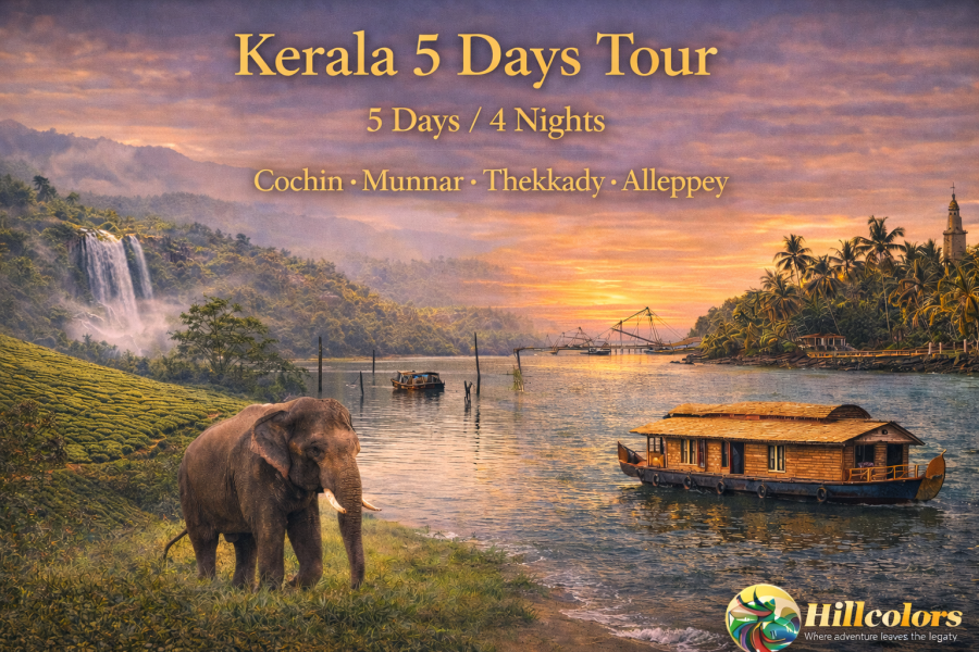 Kerala Tour Itinerary 5 Days: Munnar, Thekkady, Alleppey & Cochin