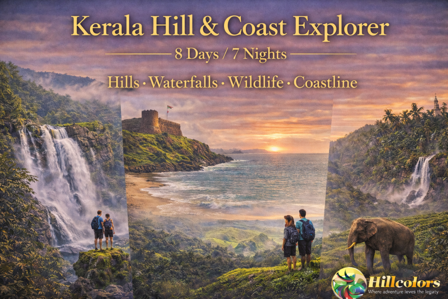 🌴 Kerala Hill & Coast Explorer – 8 Days Tour Package